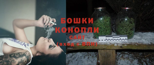 PSILOCYBIN Арсеньев