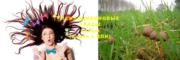 PSILOCYBIN Арсеньев
